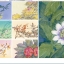(Pre-order) หนังสือเทคนิคระบายสีน้ำภาพผู้หญิงกับดอกไม้