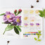 (Pre-order) หนังสือสอนระบายสีน้ำภาพดอกไม้แบบเหมือนจริง