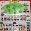โปสเตอร์สี่สีออกเสียงภาษาจีน: ธงชาติ 汉语有声挂图拼音: 世界国旗 Chinese Audio Wall Chart : World Flags