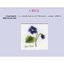 (Pre-order) หนังสือแบบงานปักผ้า Needle Painting Embroidery FRESH IDEAS FOR BEGINNERS