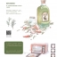 (Pre-order) หนังสือสอนระบายสีน้ำ Life illustrations