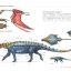 (Pre-order ราคาพิเศษ) หนังสือ Anatomy ของสัตว์ Understanding Animal Anatomy โดย Terryl Whitlatch