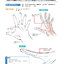(Pre-order) หนังสือเทคนิคการวาดมือ HOW TO DRAW HANDS โดย Takahiro Kagami