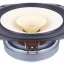 Fostex FE206En 8" Full Range