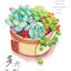 (Pre-order) หนังสือระบายสีน้ำ BASIC WATERCOLOR TECHNIQUES