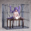 Koakuma Setsuko no Himitsu 1/6 Complete Figure(Pre-order)