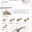 (Pre-order) หนังสือความรู้เบื้องต้นวาดภาพสไตล์จีน