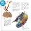 (Pre-order) หนังสือระบายสีน้ำมัน Oil Painting "ป่า"