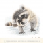 (Pre-order) หนังสือสอนระบายสีไม้ภาพสัตว์น่ารักๆ The colored pencil painting tutorial of adorable animals