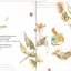 (Pre-order) หนังสือสอนระบายสีน้ำน่ารักๆ Claire's Transparent Watercolor