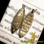 เงินปลิงฝังเพชร หลวงตาช้วน วัดขวาง จ.สุพรรณบุรี เนื้ออัลปาก้า