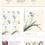 (Pre-order) หนังสือสอนวาดภาพสไตล์จีนแบบดั้งเดิมระดับเริ่มต้น