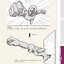 (ลดราคา-มีรอยจากการขนส่ง) หนังสือสร้างคาแรคเตอร์อนิเมะใน 90 วัน ! (โครงสร้างร่างกาย + ฝึกวาดท่าทาง)