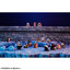 MEGA CAT PROJECT ONE PIECE NYAN PIECE NYAN! Luffy VS Marine Hen 8Pack BOX(Pre-order)