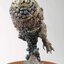 (Pre-order) หนังสือ Incredible Sculpture Work & Techhnique