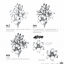 (Pre-order) หนังสือสอนวาดภาพขาว-ดำ รูปดอกไม้ Black and White Flowers เล่ม 4