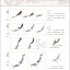(Pre-order) หนังสือสอนวาดภาพสไตล์จีนโบราณ ใครๆก็สามารถวาดระดับเบสิคได้
