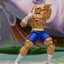 Street Fighter Alpha 3 1/12 Scale Action Figure Sagat(Provisional Pre-order)