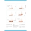 (Pre-order) หนังสือสอนวาดและลงสีใบหน้าด้วยสีไม้