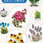 (Pre-order) หนังสือสอนวาดภาพดอกไม้และพืชสไตล์จีนใน 10 นาที