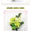 (ลดราคา-มีรอยจากการขนส่ง) หนังสือสอนปั้นดินดอกไม้