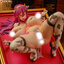 [Bonus] Bakunyuu Party NTR Terrena DXver. 1/6 Complete Figure(Pre-order)