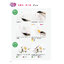 (Pre-order) หนังสือระบายสีน้ำภาพดอกไม้