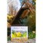 (Pre-order) หนังสือภาพระบายสีน้ำ Jardins de Paris aquarelles