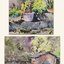 (Pre-order) หนังสือสอนระบายสีน้ำภาพ Landscape "Walk"