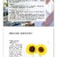 (Pre-order) หนังสือ Anna Mason's WATERCOLOR WORLD