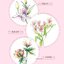(Pre-order) หนังสือสอนระบายสีไม้ภาพดอกไม้ด้วยตัวเอง