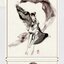 (Pre-order) หนังสือรวมผลงานภาพ RUO MENG JI
