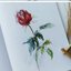 (Pre-order) หนังสือสอนระบายสีไม้ภาพดอกไม้ด้วยตัวเอง