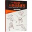 (Pre-order) หนังสือเทคนิคสเก็ตช์ภาพ Human Body โดย Junichi Hayama