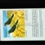 Bird Guide of Thailand - Second Edition โดยหมอบุญส่ง.เลขะกุล พิมพ์พ.ศ.2517 (ค.ศ.1974) ร.พ.คุรุสภาลาดพร้าว ***พร้อมลายเซ็นหมอบุญส่ง***