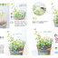 (Pre-order) หนังสือสอนระบายสีน้ำระดับพื้นฐาน WATERCOLOR LIFE