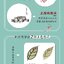 (Pre-order) หนังสือวาดภาพขนาดเล็กสไตล์จีนแบบง่ายๆใน 8 ขั้นตอน