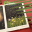 (Pre-order) หนังสือภาพ 有你的日子