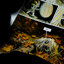(Pre-order) หนังสือการ์ตูนสี Beautiful Darkness : Jolies Ténèbres