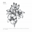 (Pre-order) หนังสือสอนวาดภาพขาว-ดำ รูปดอกไม้ Black and White Flowers เล่ม 4