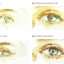 (Pre-order) หนังสือสอนระบายสีน้ำของ MarinaRen