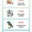 (Pre-order) หนังสือวาดภาพสัตว์ด้วยเทคนิคการวาดสไตล์จีน