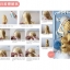 (Pre-order) หนังสือ Tutorial ตุ๊กตา BJD (bjd doll)