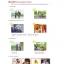 แบบเรียนการอ่านภาษาจีนใหม่เล่ม 1+MP3 新实用汉语课本（第3版）（英文注释）课本1（含1MP3）New Practical Chinese Reader (3rd Edition) (English Annotation) Textbook 1 (including 1MP3)