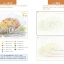 (Pre-order) หนังสือสอนเทคนิคระบายสีไม้ การลงสีแสงและลม โดยอาจารย์ Hiroshi Ogawa
