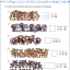แบบฝึกหัด Easy Steps to Chinese สำหรับเด็ก เล่ม 2b 轻松学中文（少儿版）（英文版）练习册2b Easy Steps to Chinese for Kids（English Edition） Workbook 2b