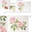 (Pre-order) หนังสือสอนระบายสีน้ำภาพดอกไม้กับ Billy Showell