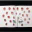 (Pre-order) หนังสือสอนระบายสีน้ำดอกกุหลาบ Huang You Wei's Watercolor Lesson of Rose