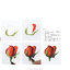 (Pre-order) หนังสือสอนระบายสีน้ำดอกกุหลาบ Huang You Wei's Watercolor Lesson of Rose