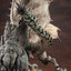 Capcom Figure Builder Creator's Model Monster Hunter Female Fire Wyvern Rathian Ver.2.0 Complete Model(Pre-order)